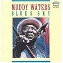 Muddy Waters : Blues Sky